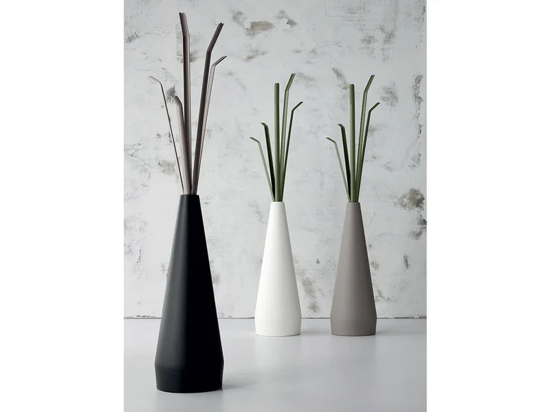 Bonaldo Kadou Appendiabiti - Base Tortora