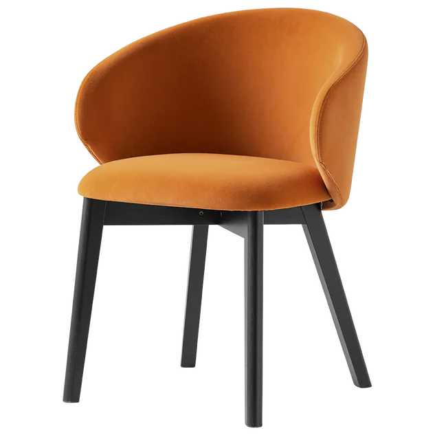 Poltrona TUKA – 4 Gambe in Legno con Seduta in Polipropilene Riciclato o Imbottita