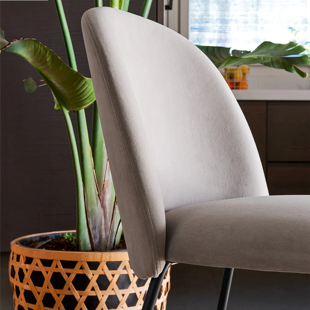 Sedia TUKA – 4 Gambe in Metallo con Seduta Imbottita e Schienale Avvolgente