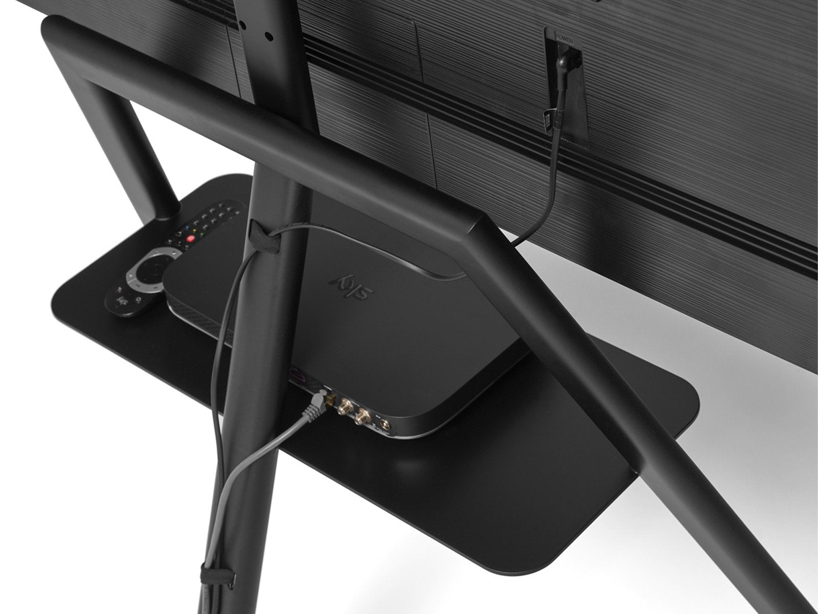 Opinion Ciatti Ptolomeo Mensola