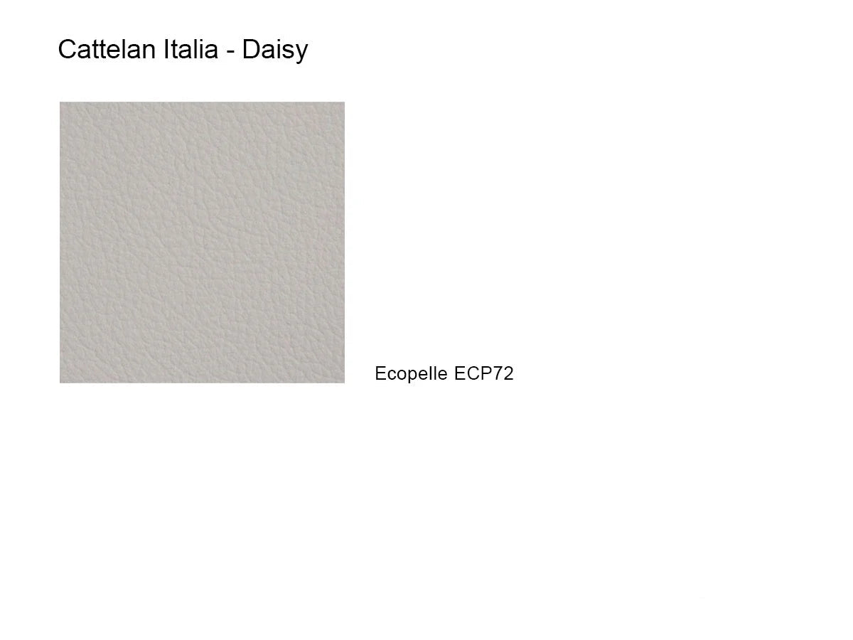 Cattelan Italia Daisy Sedia - ECP72 Canova | Il mio negozio