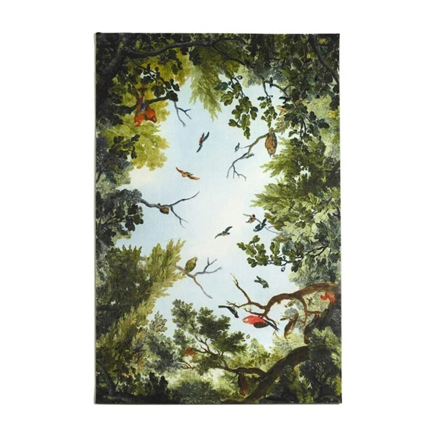 Opinion Ciatti CIELO & TERRA Tappeto | Il mio negozio