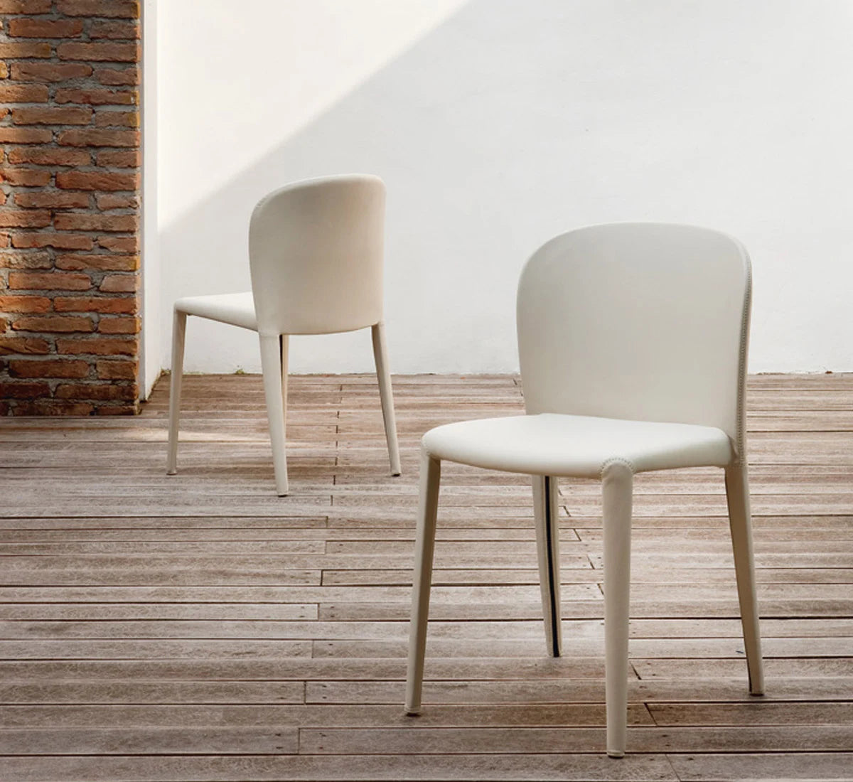 Cattelan Italia Daisy Sedia | Il mio negozio