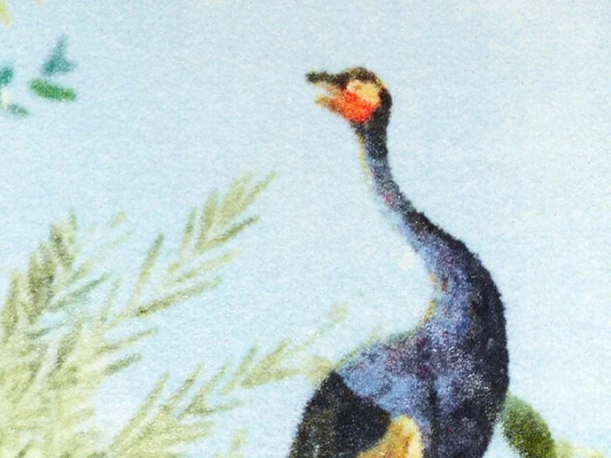 Opinion Ciatti CIELO & TERRA Tappeto | Il mio negozio