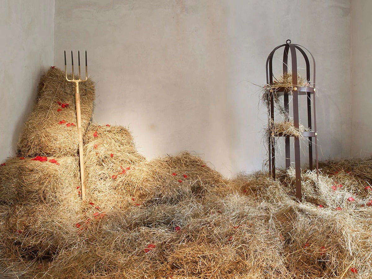 Opinion Ciatti La Gabbia Libreria