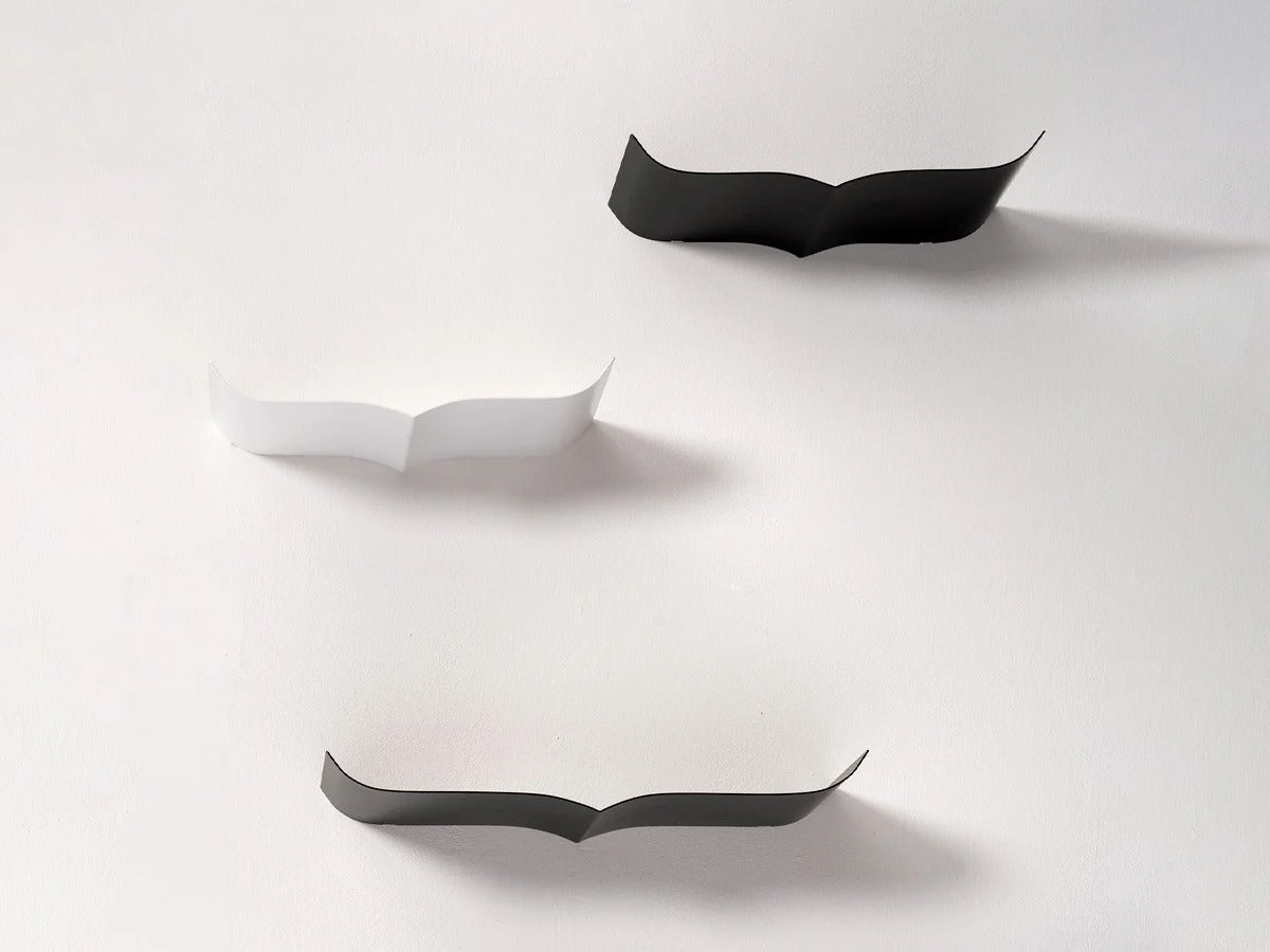 Opinion Ciatti Nori Mesola