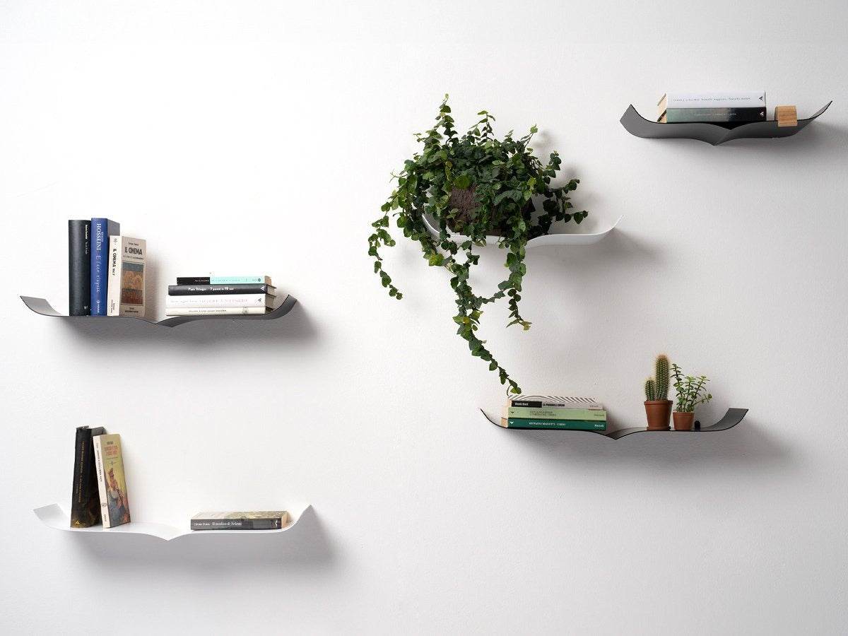 Opinion Ciatti Nori Mesola