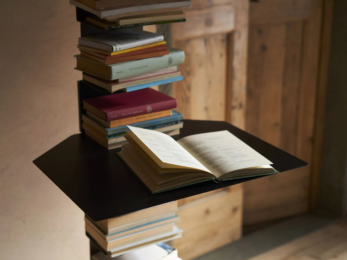 Opinion Ciatti Ptolomeo Mensola