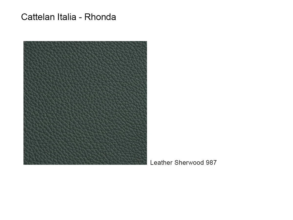 Cattelan Italia Rhonda Sedia - Pelle 987 Sherwood / GFM73 | Il mio negozio
