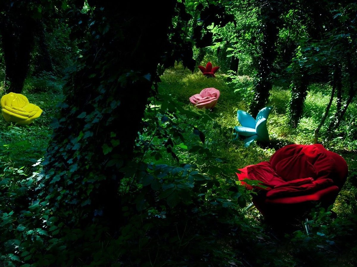 Edra Rose Chair - Poltrona | Il mio negozio